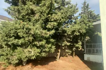 Satılır Həyət Evi Bilgəhdə