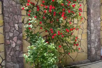 Satılır Villa Nardaranda
