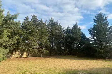 Satılır Həyət Evi Bilgəhdə