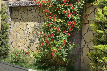 Satılır Villa Nardaranda
