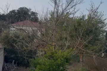 Satılır Torpaq Bilgəhdə