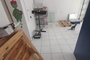 Aylıq Kirayə Obyekt 8-ci Mikrorayonda