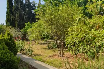 Satılır Villa Bilgəhdə