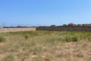 Satılır Torpaq Nardaranda