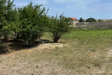 Satılır Torpaq Nardaranda
