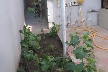 Satılır Həyət Evi Xırdalan şəhərində