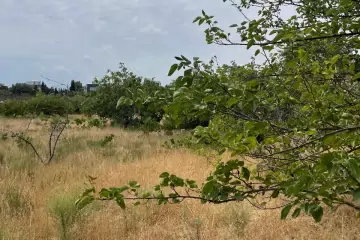 Satılır Torpaq Nardaranda