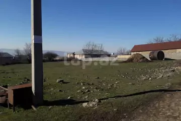 Satılır Torpaq Orta Zəyzidda