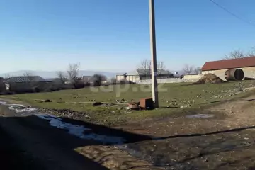 Satılır Torpaq Orta Zəyzidda