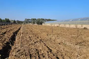 Satılır Torpaq Maştağada 