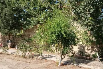 Satılır Torpaq Buzovnada