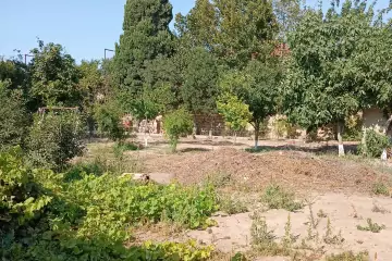 Satılır Torpaq Buzovnada