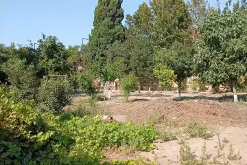 Satılır Torpaq Buzovnada