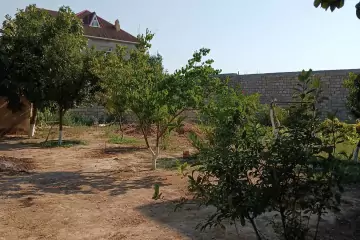 Satılır Torpaq Buzovnada