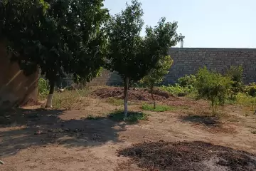 Satılır Torpaq Buzovnada