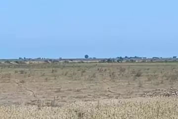 Satılır Obyekt Neftçala Da