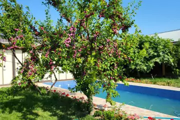 Günlük Kirayə Həyət Evi şabran Rayonunda
