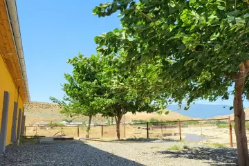 Günlük Kirayə Həyət Evi şabran Rayonunda