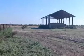Satılır Obyekt Neftçala Da 