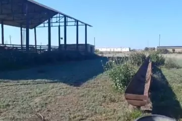 Satılır Obyekt Neftçala Da