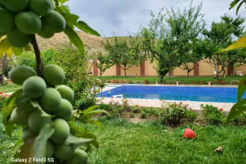 Günlük Kirayə Həyət Evi şabran Rayonunda