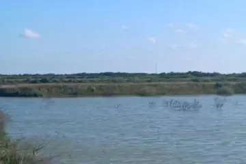 Satılır Obyekt Neftçala Da
