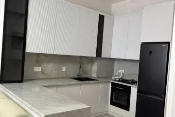 Aylıq Kirayə Yeni Tikili Yasamalda