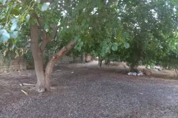 Satılır Həyət Evi Biləcəridə