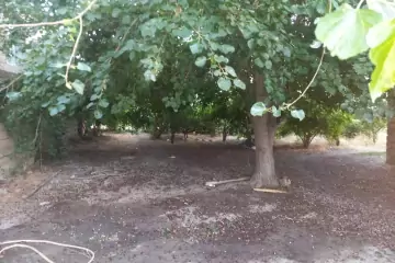 Satılır Həyət Evi Biləcəridə
