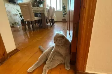 Satılır Həyət Evi Biləcəridə