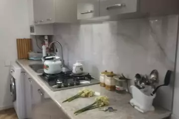 Günlük Kirayə Bağ Evi Abşeron Rayonunda