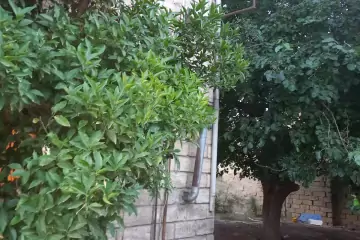 Satılır Həyət Evi Biləcəridə