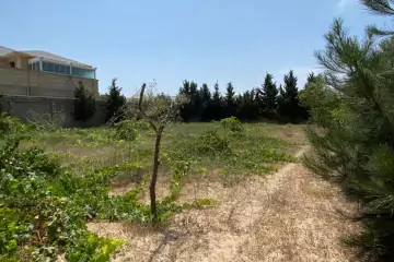 Satılır Torpaq Bilgəhdə