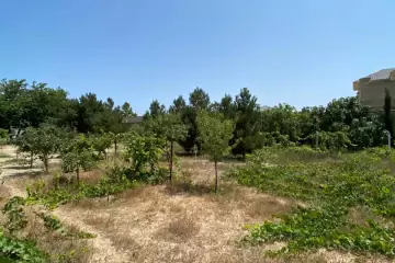 Satılır Torpaq Bilgəhdə