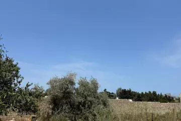 Satılır Torpaq Bilgəhdə