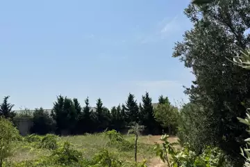 Satılır Torpaq Bilgəhdə