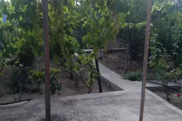 Satılır Həyət Evi Buzovnada