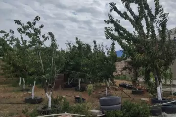 Satılır Həyət Evi Kürdəxanıda