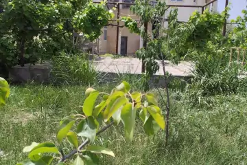 Satılır Həyət Evi Buzovnada