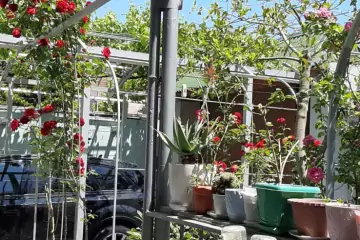 Satılır Həyət Evi Buzovnada