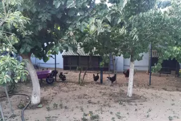 Satılır Həyət Evi Buzovnada