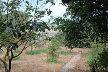 Satılır Villa Buzovnada