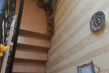 Satılır Həyət Evi Binəqədidə