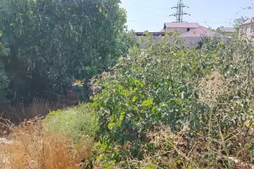 Satılır Torpaq Maştağada