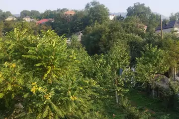 Günlük Kirayə Həyət Evi Quba Rayonunda
