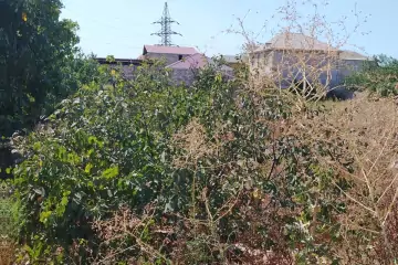 Satılır Torpaq Maştağada