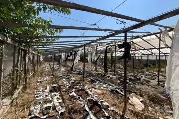 Satılır Torpaq Maştağada