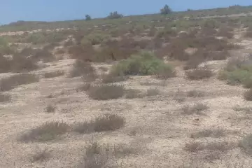Satılır Torpaq ələtdə