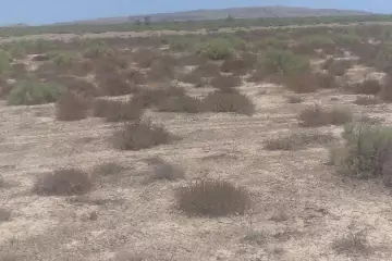 Satılır Torpaq ələtdə