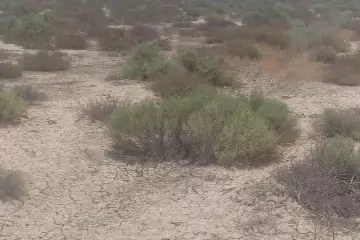 Satılır Torpaq ələtdə